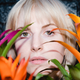 Hayley Williams